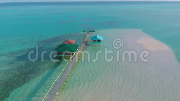 热带海岸的空中景观和许多棕榈树一望无际的绿松石海洋和来自天堂小野的白沙视频的预览图