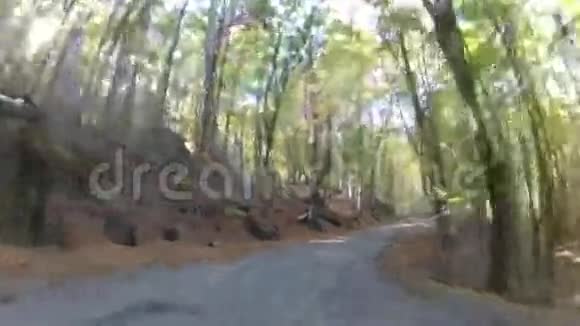 通过森林的风景路线GoPro视频的预览图
