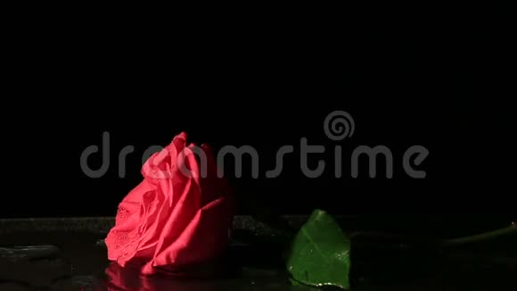 水滴落在玫瑰上慢动作视频的预览图