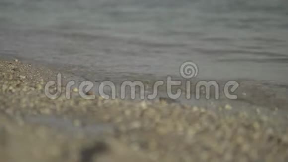海滩海岸的特写镜头沙姆沙伊赫埃及视频的预览图