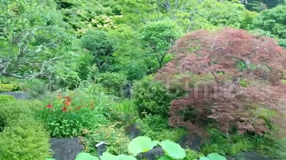 镰仓著名的大布祖寺视频的预览图