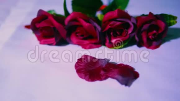 情人节有玫瑰和花瓣的片段视频的预览图