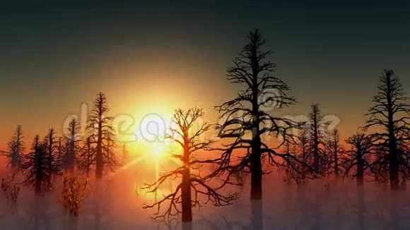 在水和太阳中的死林视频的预览图