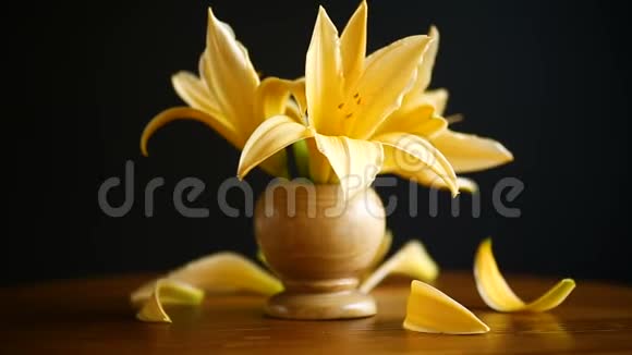黄色百合花和花蕾视频的预览图