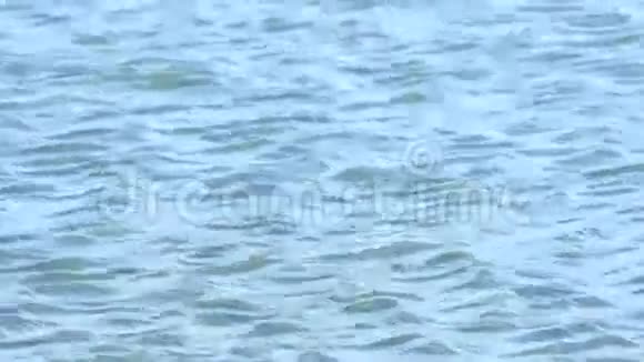 自然背景的水波视频的预览图