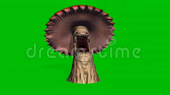 愤怒的大红蘑菇出现了死亡绿色的屏幕视频的预览图