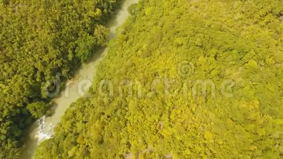 菲律宾雨林里的河流博霍尔视频的预览图