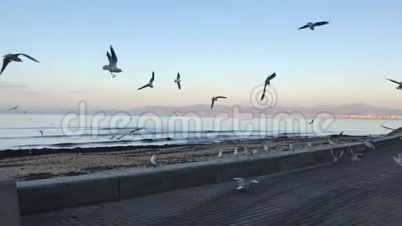 这是冬季的阿雷纳海滩视频的预览图