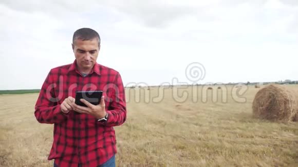 智慧农业理念农夫在数字平板电脑上的田野里研究干草堆慢生活方式视频的预览图