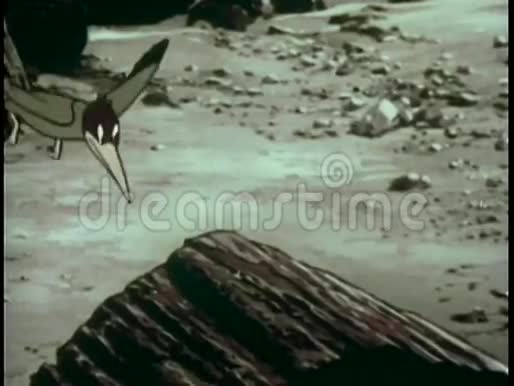 石化森林中的啄木鸟在树干上折断喙视频的预览图