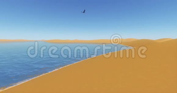 鹰盘旋在沙漠和蓝色湖泊沙漠绿洲和海洋视频的预览图