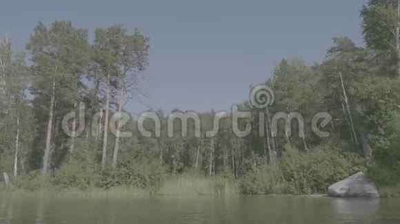 美丽的蓝色清澈的水在湖岸海岸的森林景观水中倒影视频的预览图