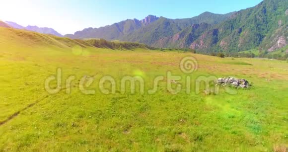 在草地上飞过野马群春山野自然自由生态概念视频的预览图