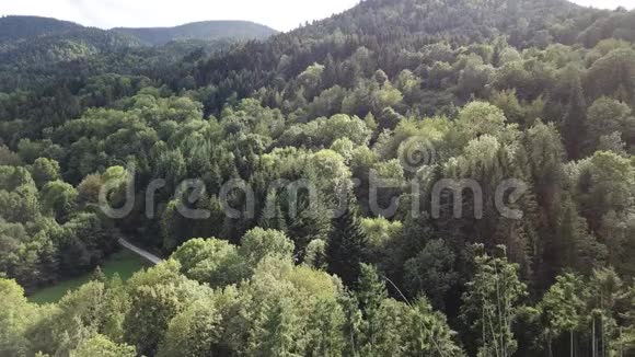 法国比利牛斯风景中的空中景观视频的预览图