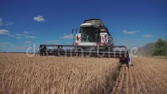结合生活方式收割机切小麦慢动作视频农业收获概念田间联合收割视频的预览图