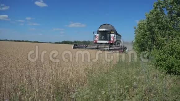 联合收割机收割小麦慢动作视频农业收获概念结合田间收获的生活方式视频的预览图