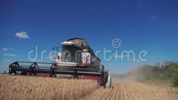 联合收割机收割小麦慢动作视频农业收获概念结合田间生活方式收获视频的预览图