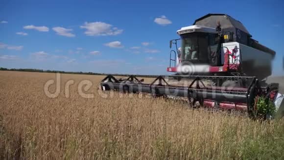 联合收割机收割小麦慢动作视频生活方式农业收获概念田间的联合收割机视频的预览图