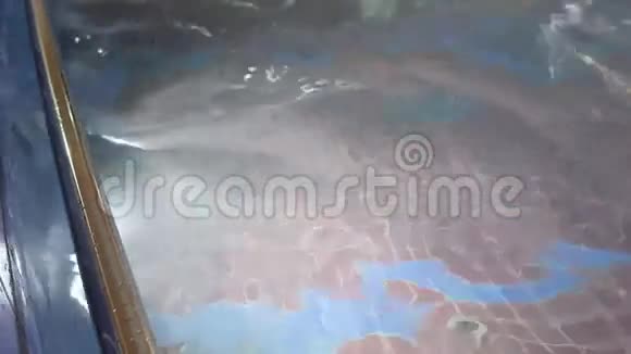 荡漾的池水视频的预览图