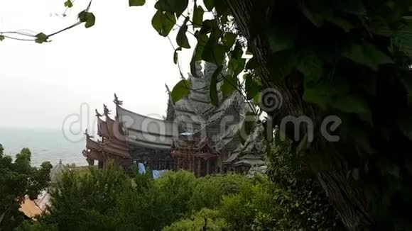 泰国真理保护区视频的预览图