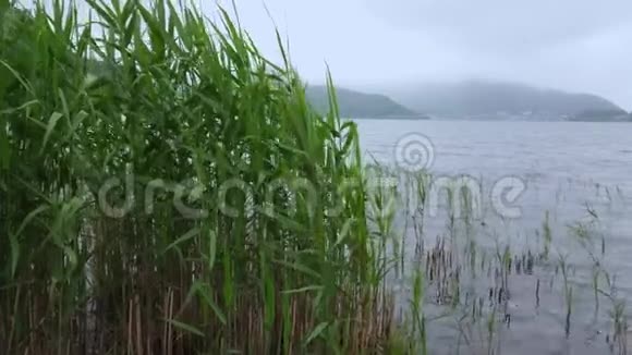 日本富士山的川崎湖著名的富士山视频的预览图