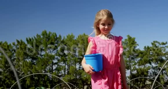 女孩在农场摘草莓4k视频的预览图