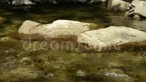 河流和岩石视频的预览图