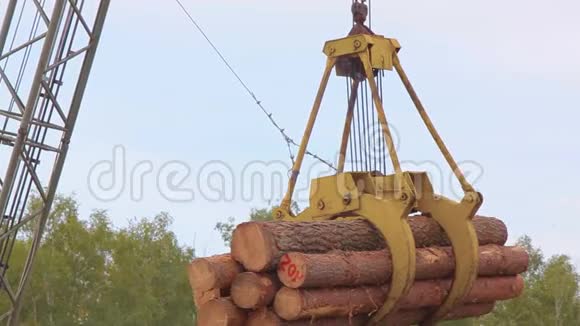 木工工厂的工作过程卸原木视频的预览图