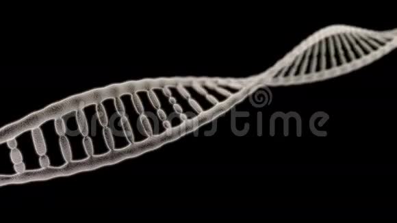 黑色背景上的单个DNA链旋转视频的预览图