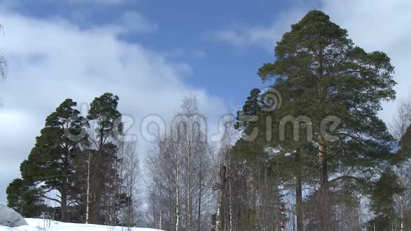 俄罗斯的冬季景观视频的预览图