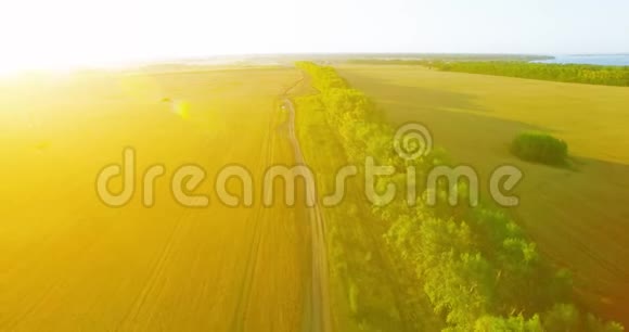 超高清4K鸟瞰图绿色和黄色麦田和树木线的低空飞行视频的预览图