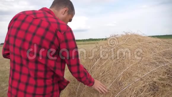 智慧农业生活方式理念农夫在数字平板电脑上的田野里研究干草堆慢动作视频的预览图