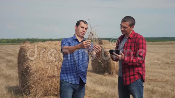 团队农业智慧农业理念两个生活方式男性农民工人在数字领域研究干草堆视频的预览图