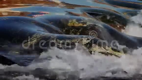 在瀑布处流动的水循环视频的预览图