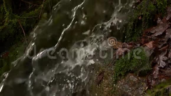 瀑布流淌在乡村视频的预览图
