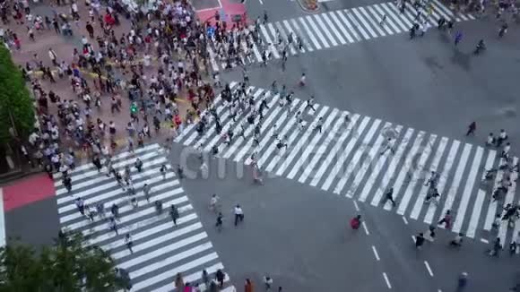 东京著名的石布亚十字路口鸟瞰视频的预览图