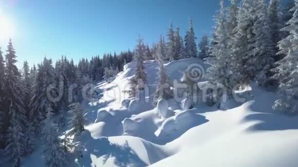 冬天飞过森林和群山视频的预览图