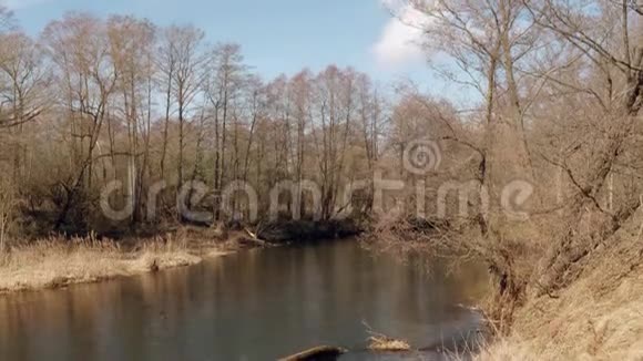 春天的开始灌丛中的一条狂野的小河视频的预览图
