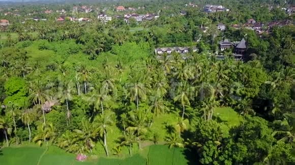 巴厘岛的风景视频的预览图