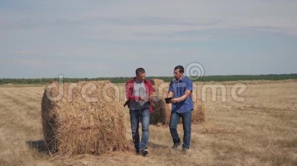 团队农业智慧农业理念两名男工农民在数字平板电脑上走在田里的干草堆上视频的预览图
