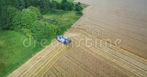鸟瞰联合收割机收集小麦在日落视频的预览图