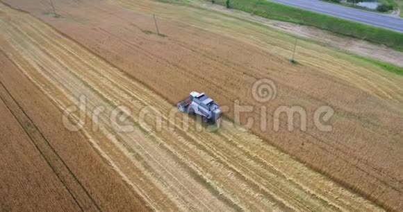 鸟瞰联合收割机收集小麦在日落视频的预览图