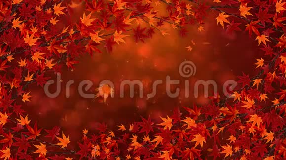 枝带红叶在飘落传统的秋叶风景优美日式典雅循环动画视频的预览图