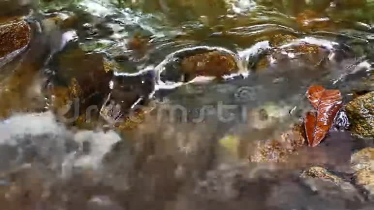 清水河视频的预览图