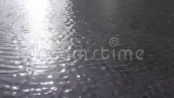 阳光反射在水中视频的预览图