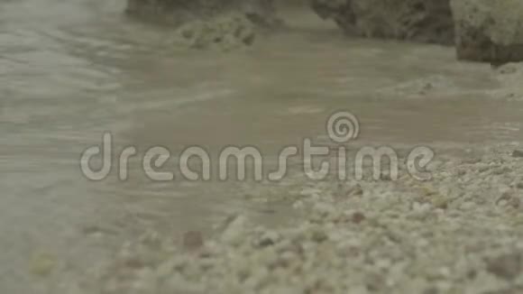 史东西海岸沙姆沙伊赫埃及视频的预览图