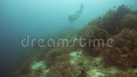 水下潜水员视频的预览图
