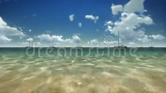 下午游艇和海鸥与时光流逝的云相机飞翔视频的预览图