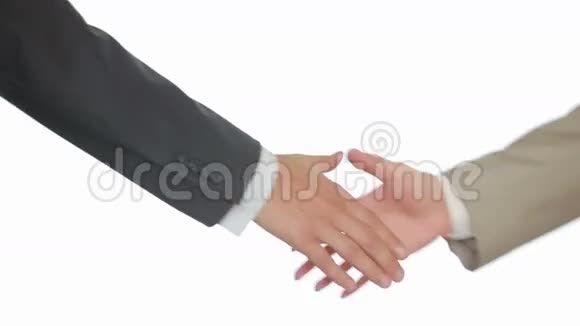 商务握手白背景两人握手视频的预览图