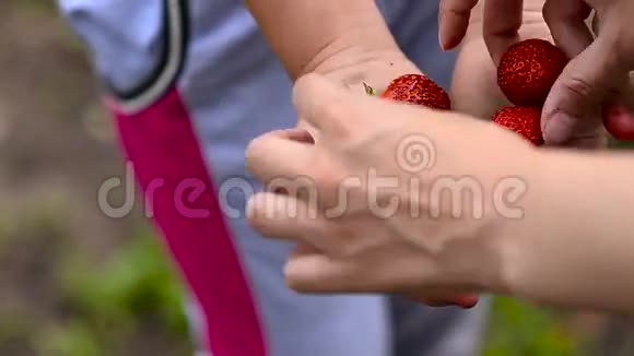 带草莓的女孩视频的预览图